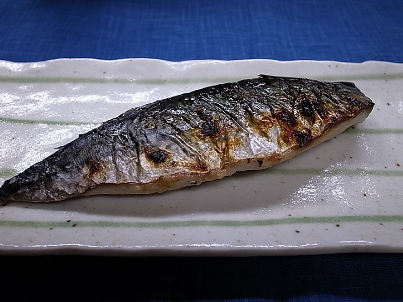 サバの塩焼き ピチット レシピ番号 161 船長と釣人の魚料理レシピ 関東沖釣り情報