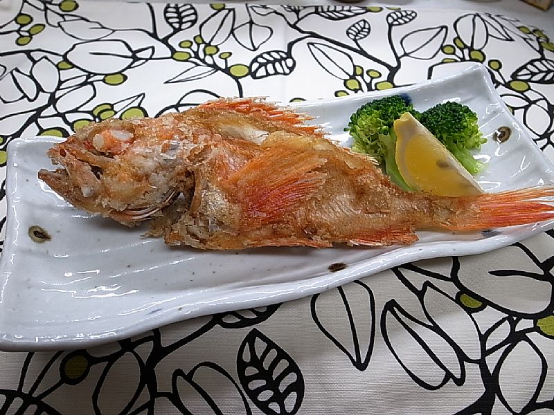 カサゴ唐揚げ レシピ番号 225 船長と釣人の魚料理レシピ 関東沖釣り情報